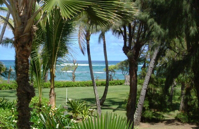 OCEANFRONT to Walking Path & Beach TVNC #1287