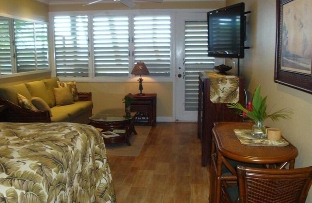 Oct-Jan Discounted rates! Spectacular Oceanfront Studio Condo on Napili Bay,Maui