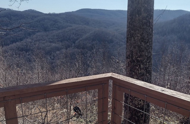 Oden’s Lookout at Valhalla Mountain- Studio Cottage