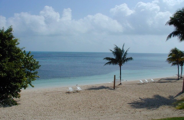 Old Bahama Bay Oceanfront Cottage Suite! One, Two, or Three Adjoining Suites