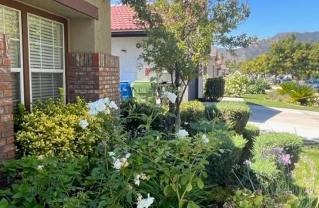 Olgas Home 25 Mins to Universal Studios!