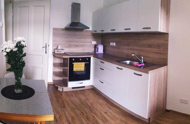 Olomouc apartment Pavlovičky