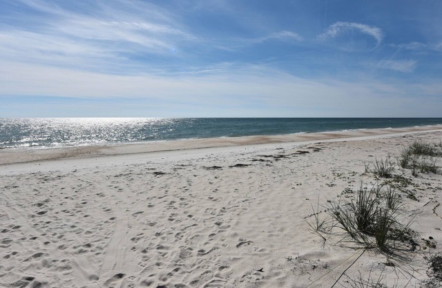 OM J5 pet friendly community pool beach access