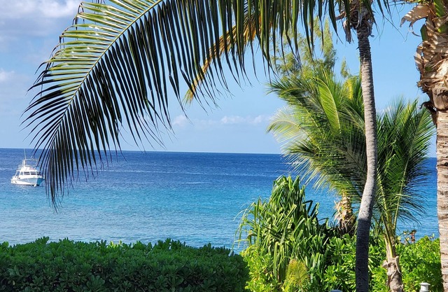 On Site Scuba Diving, 2 Pools, 3 Story Condo Awaits, Steps From These Views!