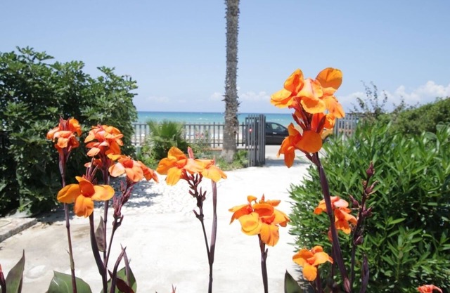 Only 20 METERS from the BEACH! Walking