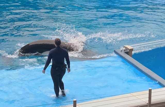 Orange Lake Vacation Resort Florida Five minute drive to Disney World Parks.