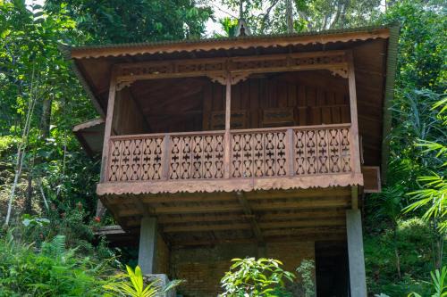 Orangutan Lodge and Jungle Trekking Activity
