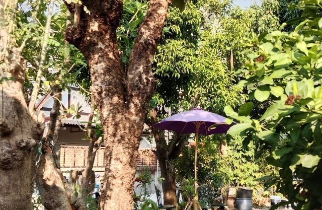 P.S. Place