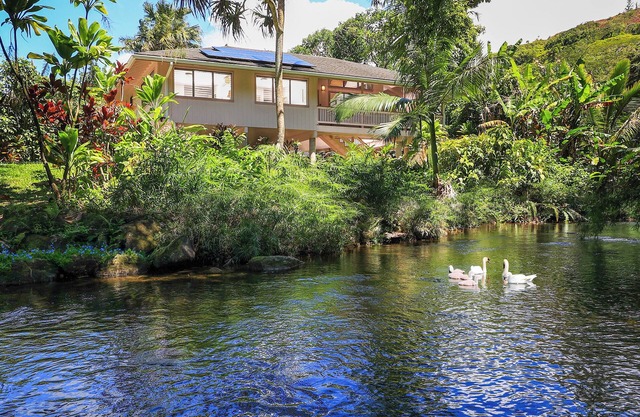 Paddle to the Beach from a Secluded Riverfront Eden-A/C-Central to Hanalei&Ke'e