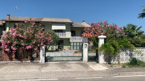 Palma Verde