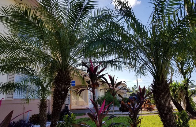 Parkway Inn Airport Motel Miami