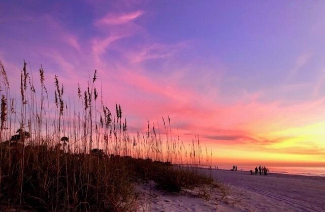 Pass A Grille Beach 2/2 WiFi