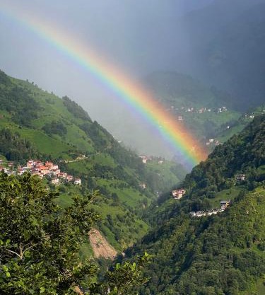 pathika bungalov