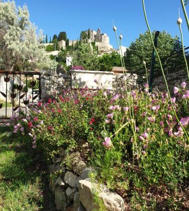 Pause couleur Lavandula