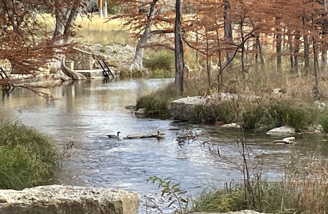 Peaceful River Cabin #1- Paradise River Bend