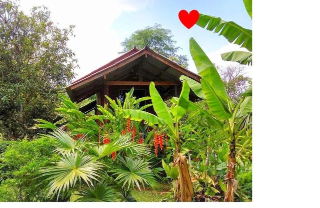 Pencave Homestay