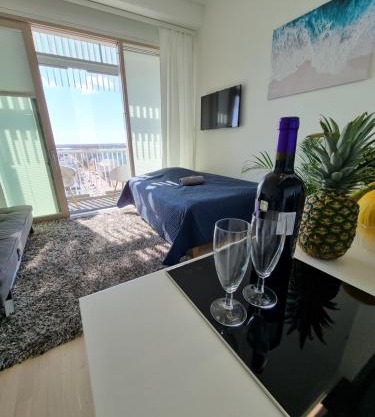 Penthouse in the Oulu center