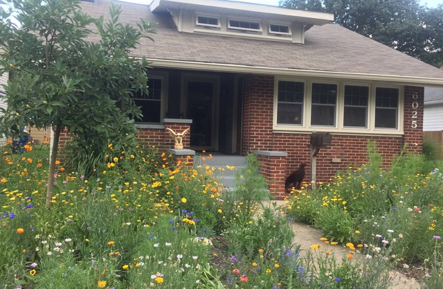 Perfect lower level apartment in heart of Broad Ripple Park. Off street parking.