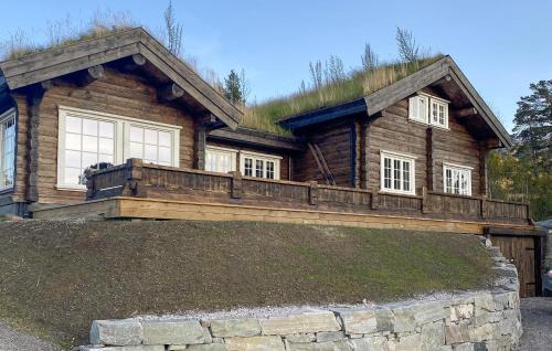 Pet Friendly Home In Hovden I Setesdal