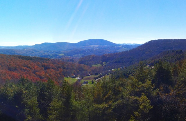 Pet-Friendly Sept Retreat - Bring the Whole Family to Absolute High!
