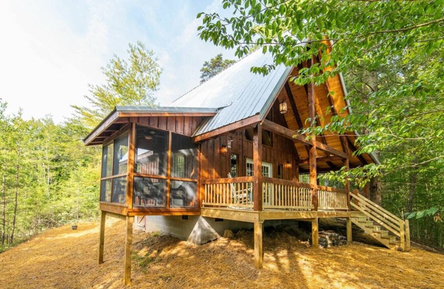 Pet-Friendly Tiny Cabin - Pine Point