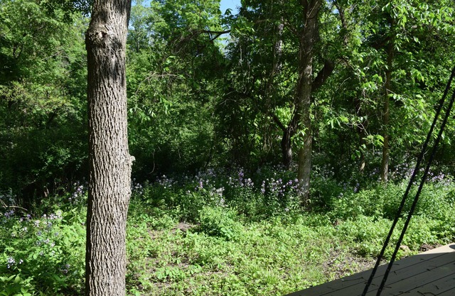 Peyper Fields Creekside Camp