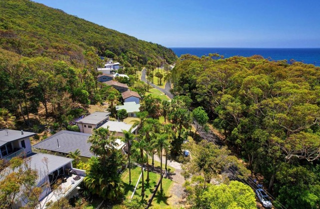 Picturesque Lizzie Palms 1