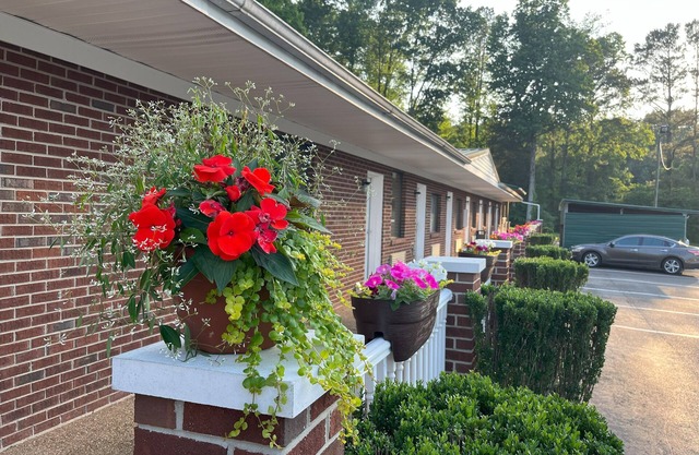 Pine Tree Inn