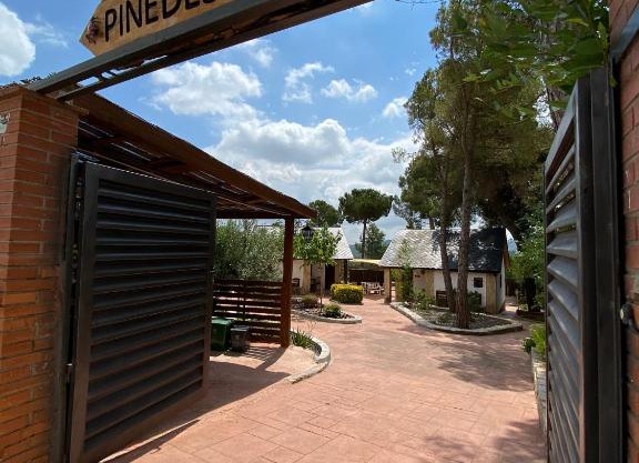 Pinedes Verd