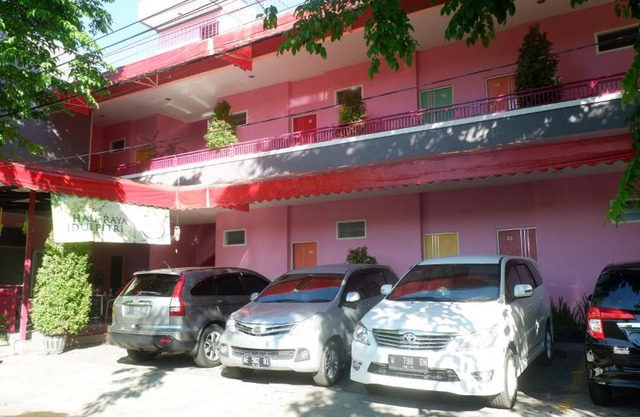 Pink House