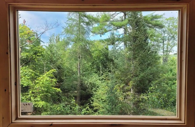 Plus haute cabane dans les arbres en Amérique du Nord - Harrington, Canada