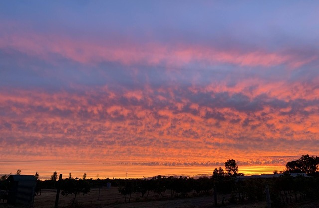 Poplars Farmstay - Swan Valley