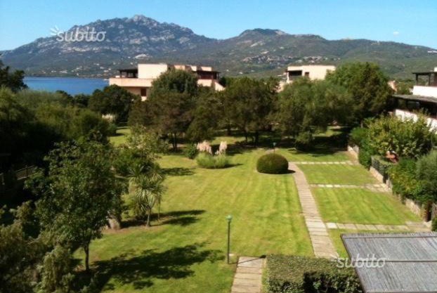 Porto Rotondo Lovely Apartment