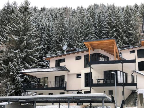 Premium apartment in ski area Bad Kleinkirchheim