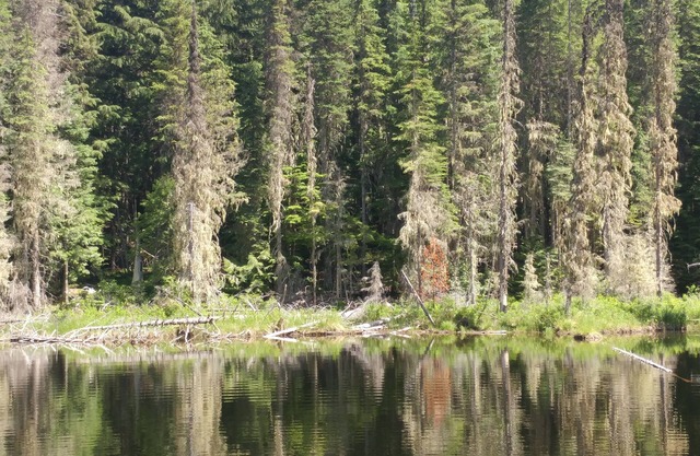 Priest Lake Reeder Bay Retreat on 3 Acres 3 Bedroom 2 Bath Sleeps 8