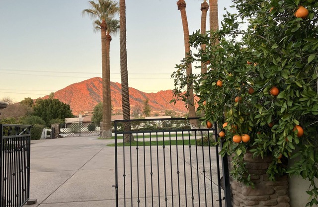 Private Casita with citrus trees and mountain views on grounds of Arcadia estate