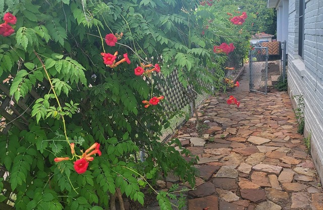 Private, clean, 2 bedroom apartment, 10 min from downtown Dallas