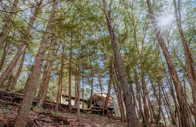 Private Creekfront-fish-Kayaks,campfire,decks, well known trout stream, privacy
