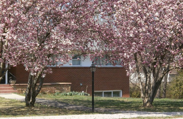 Private Entrance with off street Carport Parking!