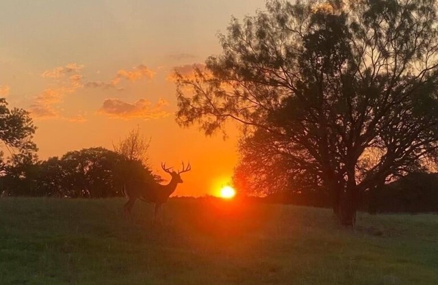Private Lodge on Exotic Ranch in Lampasas