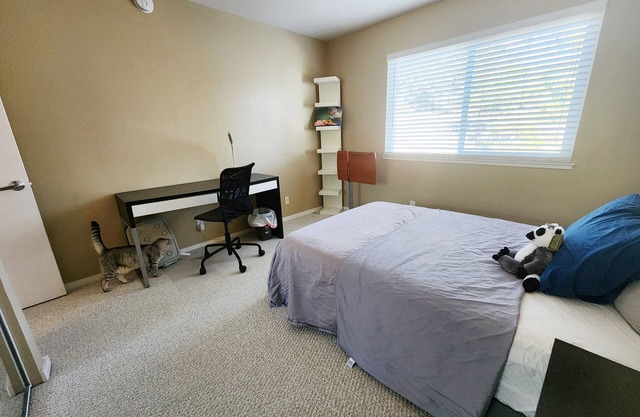 Private room with bath in townhome on Hayward hill