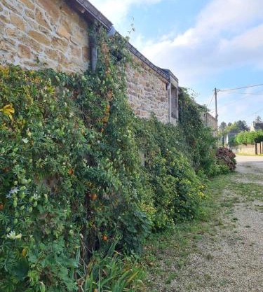 Propriete d'une chambre avec piscine partagee et terrasse a Theix a 9 km de la plage
