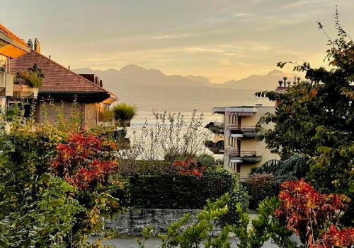 PULLY LAUSANNE sunny apartment on lakeside street and direct bus to Lausanne train station