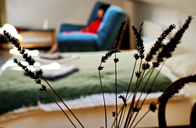 Quiet and sunny Mikovini apartment in the busy center of Stiavnica