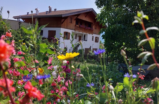 Quietly located vacation apartment with a view of the Merano basin