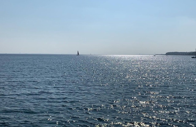 Recreation on the North Sea, green beach in Cuxhaven's Grimmershörn Bay.