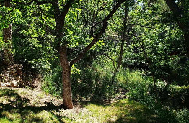 Remodeled home in the woods, just past city limits. With horse pasture nearby!