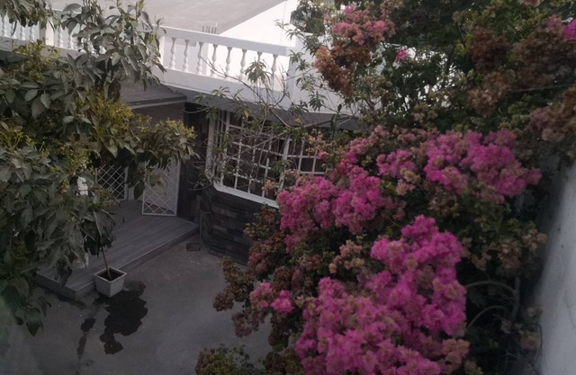 Rent secure apartment, since it has 24 hour security