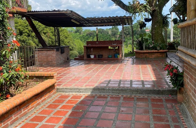 Rest away from the hustle and bustle of the city in our pleasure farm, petfrendly