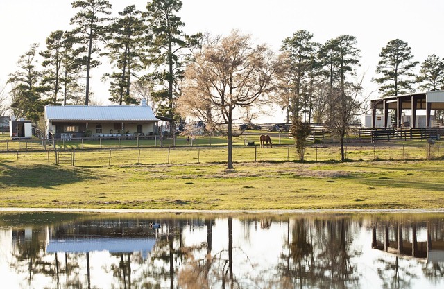 Rest + Restore. Family-friendly ranch getaway, including fur babies!nn